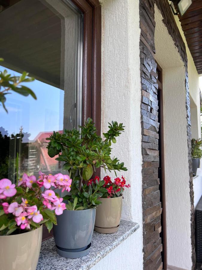 Casa Helen Insurance&Tourism Guest House Galócaş Eksteriør bilde