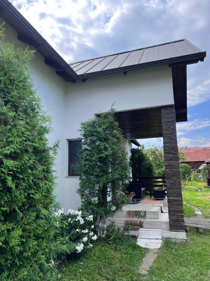Casa Helen Insurance&Tourism Guest House Galócaş Eksteriør bilde