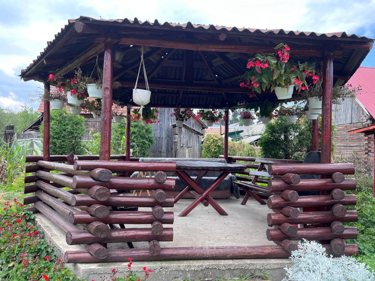 Casa Helen Insurance&Tourism Guest House Galócaş Eksteriør bilde